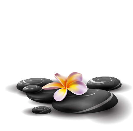 Spa concept zen stones and frangipani flowersのイラスト素材