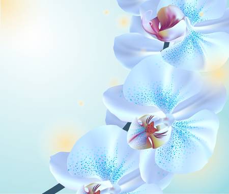 Blue orchid flowersのイラスト素材