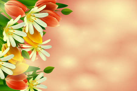 Floral background  Daisies and tulips のイラスト素材