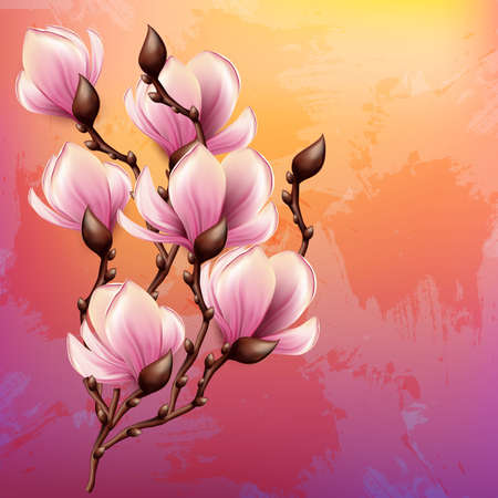 Magnolia branch isolatedのイラスト素材