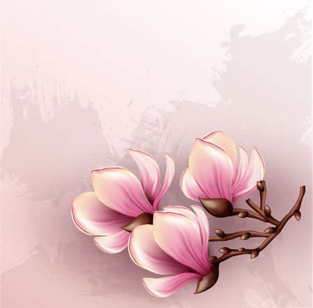 Magnolia branch isolatedのイラスト素材