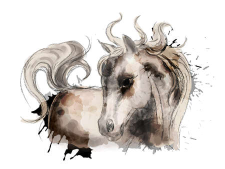 Watercolor little cute horse paintingのイラスト素材
