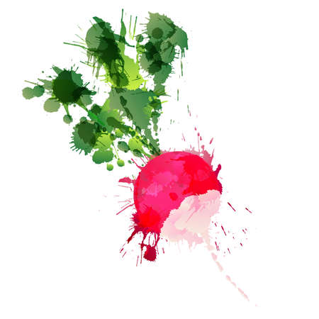 Radish made of colorful splashes on white backgroundのイラスト素材