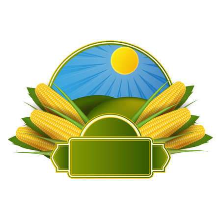 Corn labelのイラスト素材
