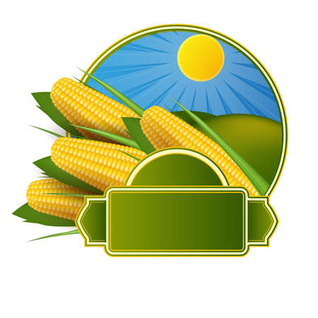 Corn labelのイラスト素材