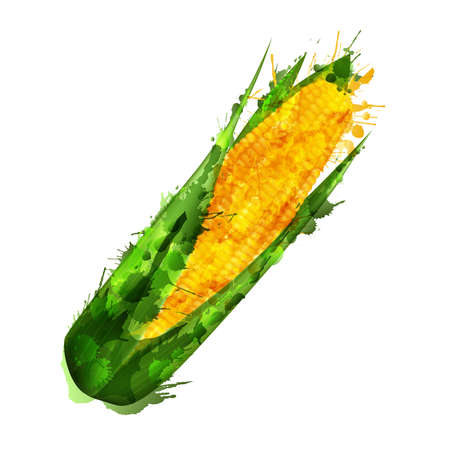 Corn cob  made of colorful splashes on white background のイラスト素材