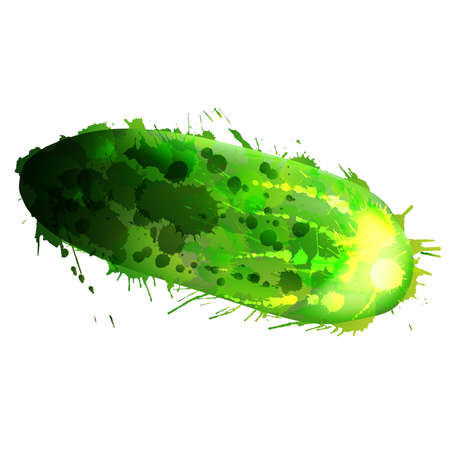 Cucumber made of colorful splashes on white background のイラスト素材