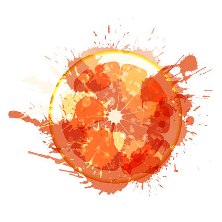 Grapefruit slice made of colorful splashes on white backgroundのイラスト素材