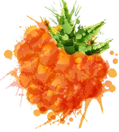 Cloudberry  made of colorful splashes on white backgroundのイラスト素材