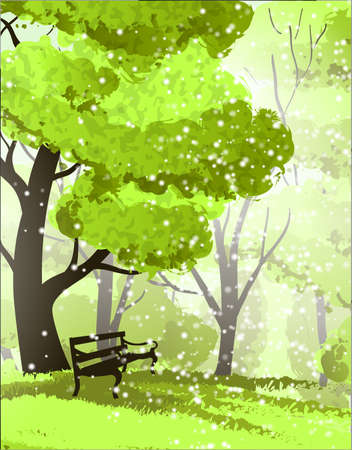 Park. Trees and benchのイラスト素材