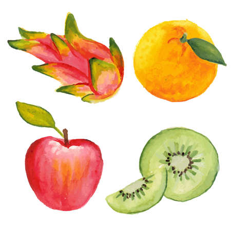 Apple, kiwifruit, orange and dragon fruit. Hand drawn in watercolor techniqueのイラスト素材