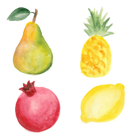 Pear, pinapple, pomegranate and lemon. Hand drawn in watercolor techniqueのイラスト素材