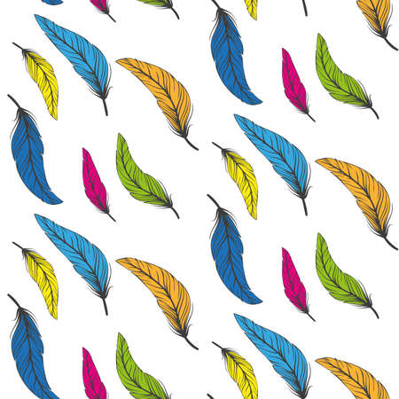 Colorful feathers backgroundのイラスト素材