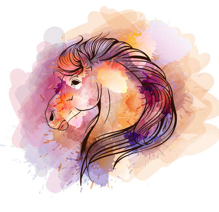 Watercolor horse headのイラスト素材