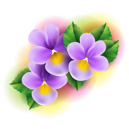 Violt flowersのイラスト素材