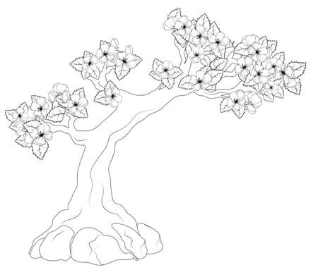 Coloring book: blooming treeのイラスト素材
