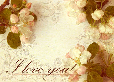 Postcard with floral ornament and cherry flowersの写真素材