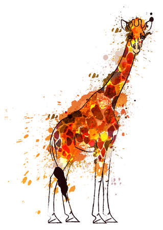 Giraffe covered with colorful grunge splashesのイラスト素材
