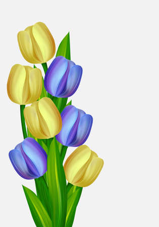 Bouquet of yellow and blue tulipsのイラスト素材