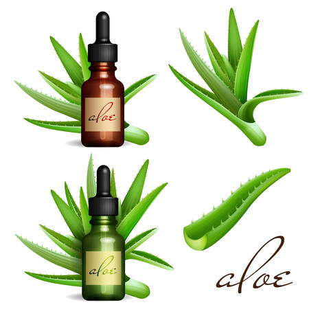 Realistic Aloe Vera and essential oil bottle.  Cosmetic vial, flaconのイラスト素材