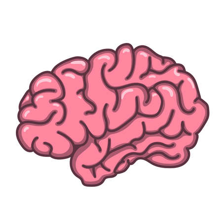 Flat style human brain illustrationのイラスト素材