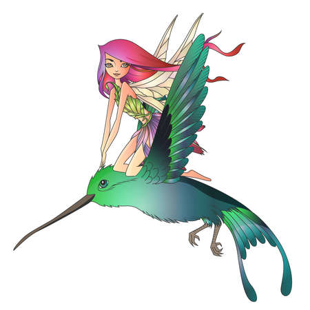 Cute fairy with pink long hair flying a colibriのイラスト素材