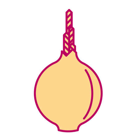 Minimal style onion illustration. Icon or logo design.のイラスト素材