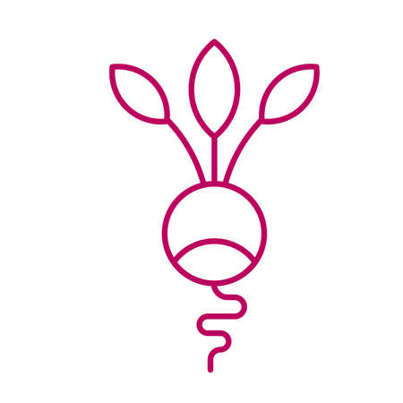 Minimal style radish illustration. Icon or logo design.