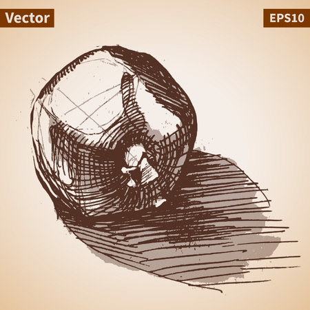 Vector sketch of garnet. Illustration for your designのイラスト素材