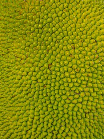 Fruit skin texture