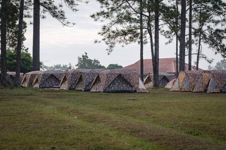 Phukradung national park landscape, famous nature travelling in Loey province of Thailandの写真素材