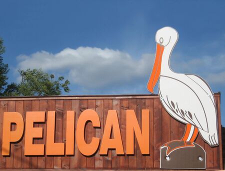 pelicanの写真素材