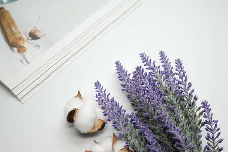 cotton flower on white backgroundの写真素材