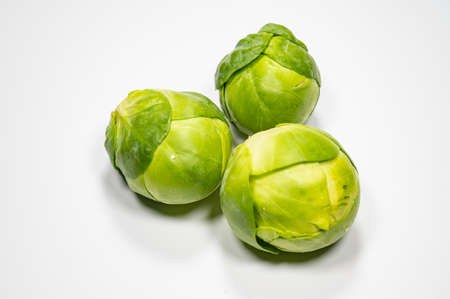 Brussels sprout with white backgroundの写真素材