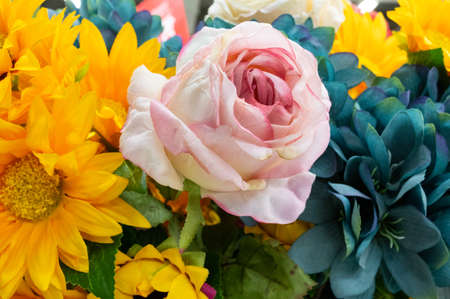 closeup of colorful several flowersの写真素材