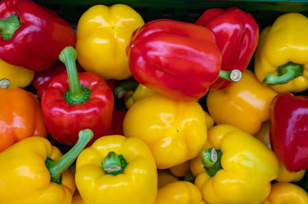 stacked fresh paprika for sale