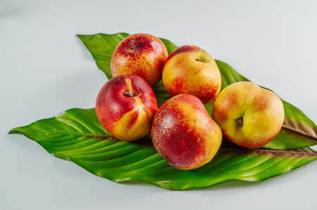 Peaches. Fresh sweet summer fruitの写真素材