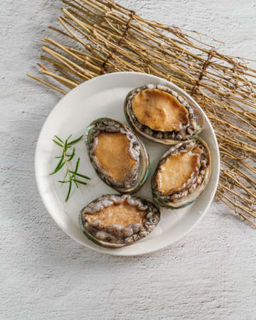 Fresh seafood abalone from the seaの写真素材