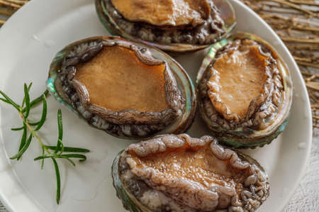 Fresh seafood abalone from the seaの写真素材