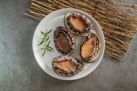 Fresh seafood abalone from the seaの写真素材