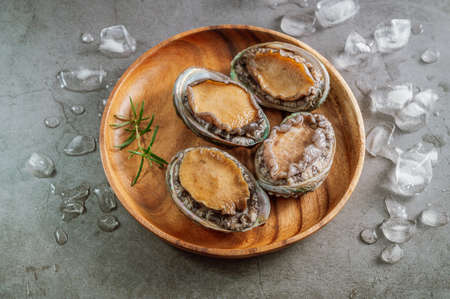 Fresh seafood abalone from the seaの写真素材