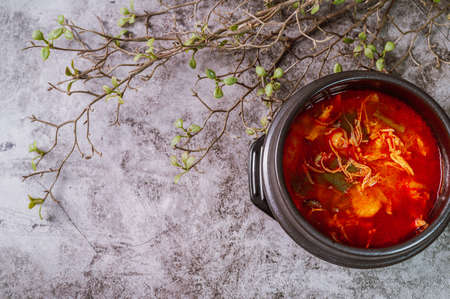 Dakgaejang, Korean style Spicy Chicken Soupの写真素材