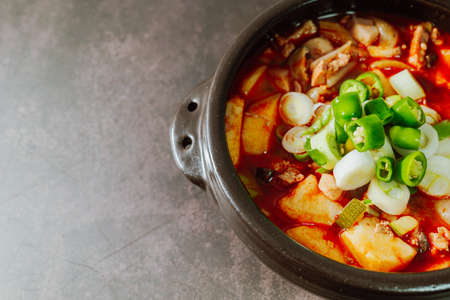 Delicious korean pork stew cuisineの写真素材