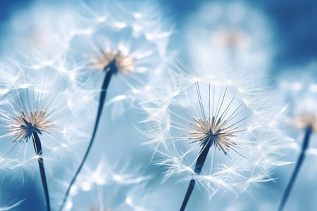 Closeup of dandelion seeds. generative AI.の素材
