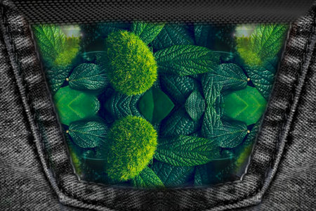 Green leaves and grass in a plastic container with filter effect retro vintage styleの写真素材