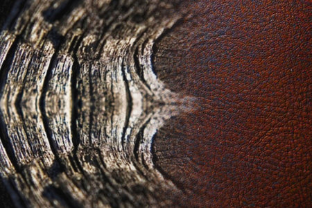 old leather texture. Abstract background and texture for design. macro.