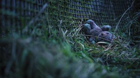 An old fence, overgrown with moss and an abandoned childrens toy. Blurred shotの写真素材