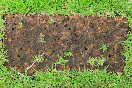 Background stone and grassの写真素材