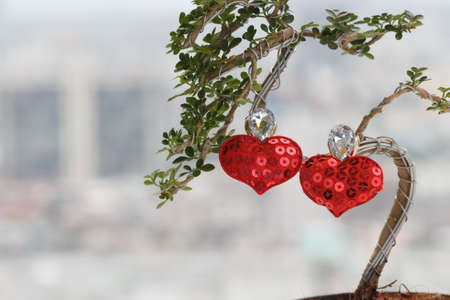 red heart love on treeの写真素材