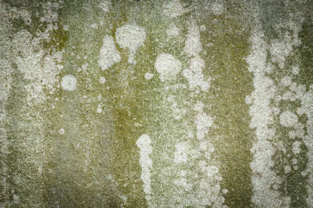 old grunge cement backgroundの写真素材